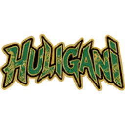 HULI队标