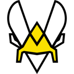 VIT队标
