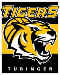 图寅根雷达虎队标,图寅根雷达虎图片