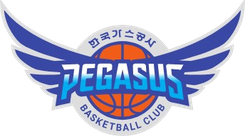 大邱石油公社飞马直播