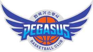 大邱石油公社飞马直播
