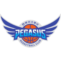大邱石油公社飞马队标