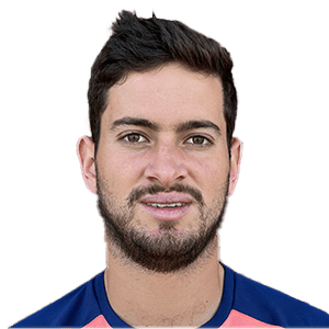 梅希亚队标,梅希亚图片