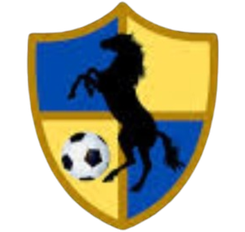 竞技联队队标,竞技联队图片