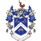 尼尔森直播