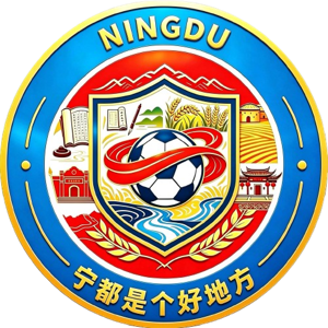 宁都队队标