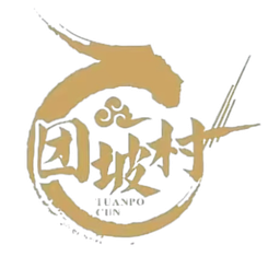团坡村直播