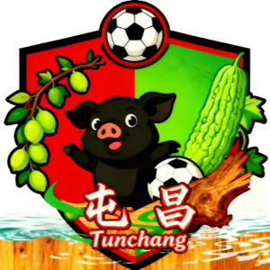 屯昌队队标