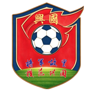 兴国队队标