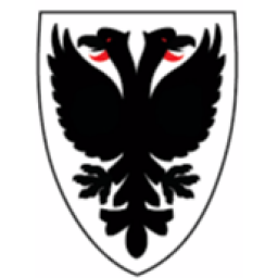 AFC温布顿女足直播