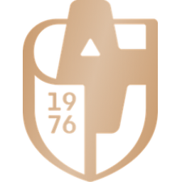 迪里耶队标