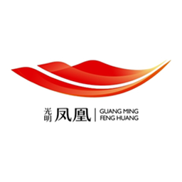 凤凰街道队标,凤凰街道图片