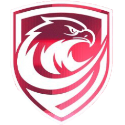 广州蒲公英队标