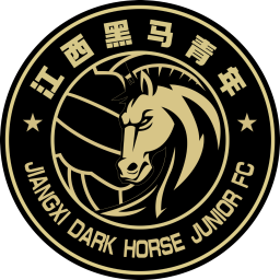 江西黑马青年队标