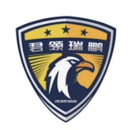 天津君领瑞鹏足球俱乐部队标