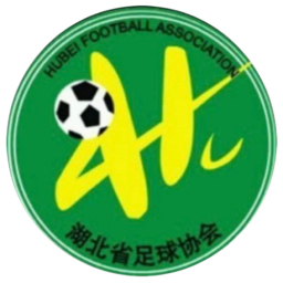 湖北队直播