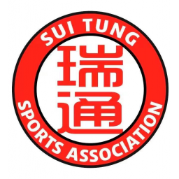 香港瑞通体育会足球队直播