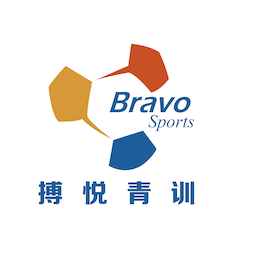 天津搏悦足球俱乐部队标